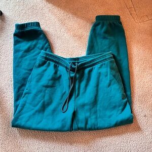 NWOT Aritzia tna cozy sweatfleece bf fit sweatpants joggers in biome green